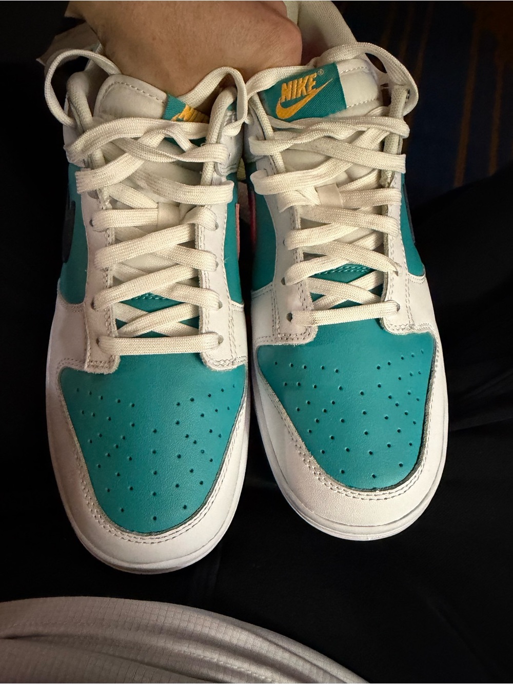 Nike low dunk dusty cactus 11m VNDS